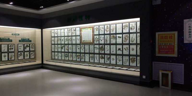 標(biāo)本展覽館