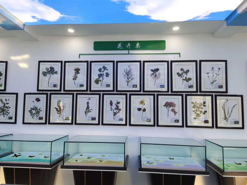 標(biāo)本展覽館